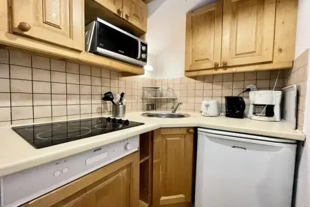 Résidence Dame Blanche, Appartement à Puy Saint Vincent sur les pistes de ski - Photo 5