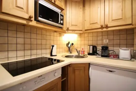 Résidence Dame Blanche, Appartement à Puy Saint Vincent avec accès direct aux pistes - Photo 7