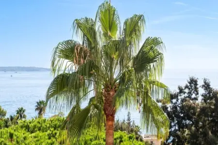 Résidence 4p Vue Mer, R&eacute;sidence De Standing Avec Piscine & Tennis, Appartement à Golfe-Juan avec vue sur la mer - Photo 47