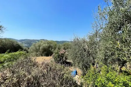 Charmant Mas 6 Pers &agrave; Peymeinade - 20 Min De Cannes, Maison à Peymeinade avec vue superbe - Photo 31