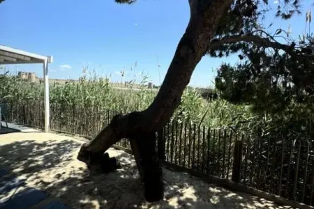 Résidence La Perle Rose Villa Standing 5 &eacute;toiles Avec Piscine Jacuzzi Et Superbe Vue, Villa à Aigues-Mortes avec Piscine & Vue - Photo 26
