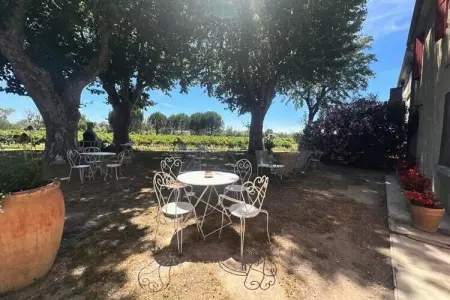 Résidence G&icirc;te De La Cave - Charmant G&icirc;te Proven&ccedil;al Avec Une Chambre, Ferme à Aigues-Mortes près de la plage - Photo 16