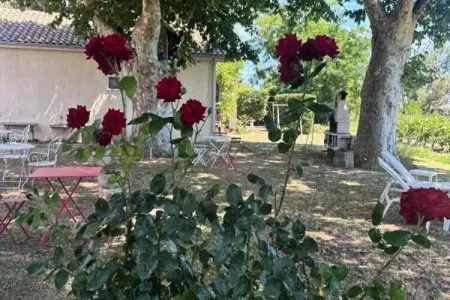 Résidence G&icirc;te De La Cave - Charmant G&icirc;te Proven&ccedil;al Avec Une Chambre, Ferme à Aigues-Mortes près de la plage - Photo 30