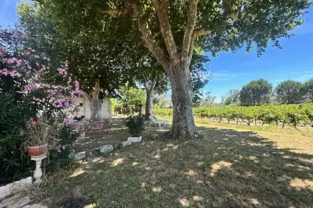 Résidence G&icirc;te De La Cave - Charmant G&icirc;te Proven&ccedil;al Avec Une Chambre, Ferme à Aigues-Mortes près de la plage - Photo 33