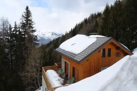 Chalet Camomille, Chalet à Vallandry proche des pistes - Photo 9
