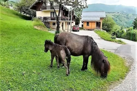 P'tit Chalet, Chalet à Le Saut proche des remontées - Photo 2