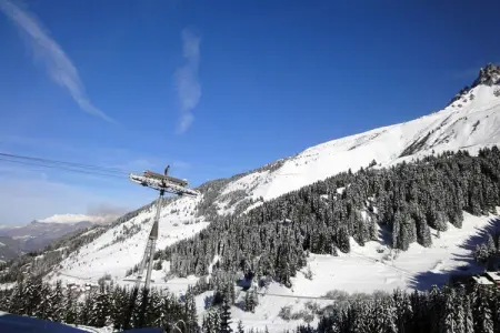 Résidence Plein Soleil, Appartement à Mottaret avec accès direct aux pistes - Photo 9