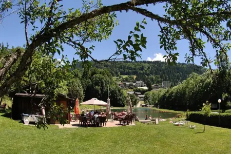 Les Chalets Des Evettes, Appartement à Flumet avec accès ski - Photo 26