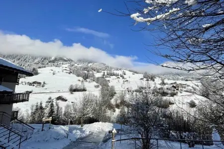 Les Chalets Des Evettes, Appartement à Flumet près de l'Espace Diamant - Photo 2