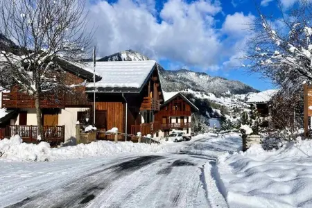Les Chalets Des Evettes, Appartement à Flumet près de l'Espace Diamant - Photo 12