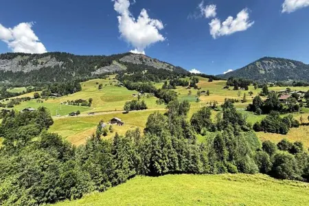 Les Chalets Des Evettes, Appartement à Flumet avec accès à une piscine chauffée - Photo 16