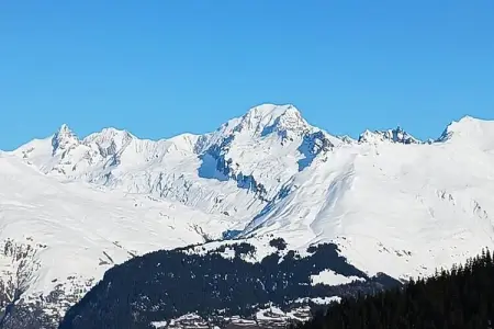 Résidence Roselend, Charmant appartement de 3 piÃ¨ces situÃ© dans une rÃ©sidence au village du Chantel, proche des pistes et avec piscine. - Photo 10
