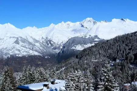 Résidence Roselend, Charmant appartement de 3 piÃ¨ces situÃ© dans une rÃ©sidence au village du Chantel, proche des pistes et avec piscine. - Photo 11