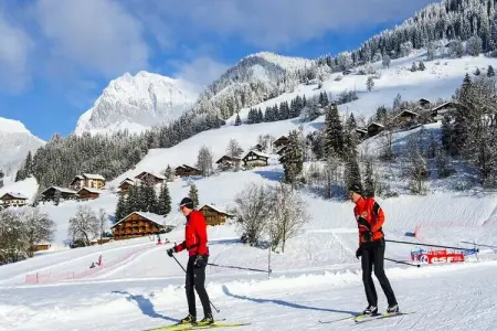 AlpResort Portes du Soleil ****, Appartement avec vue sur la vallée et accès au spa - Photo 36