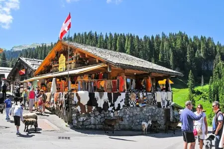 AlpChalets Portes du Soleil *****, Appartement dans la Vallée Abondance - Photo 27