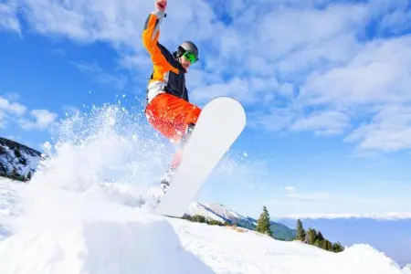 AlpChalets Portes du Soleil *****, Appartement dans la Vallée Abondance - Photo 32