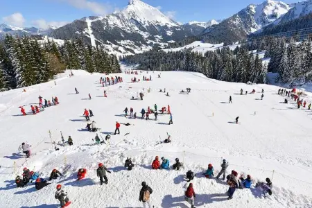 AlpChalets Portes du Soleil *****, Appartement dans la Vallée Abondance - Photo 40