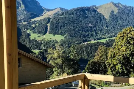 AlpChalets Portes du Soleil *****, Appartement dans la Vallée Abondance - Photo 62