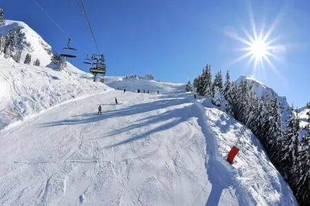 AlpChalets Portes du Soleil *****, Appartement dans les Alpes avec sauna et piscine - Photo 42