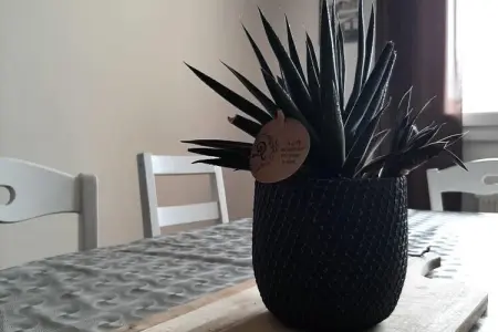 Résidence Md 52 - &eacute;l&eacute;gante Maison Avec Terrasse, Appartement à Mers-les-Bains Plage - Photo 16