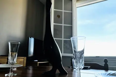 Résidence Ap 40 -  le Nancy  Escapade Vue Mer !, Appartement à Ault avec vue sur mer - Photo 17