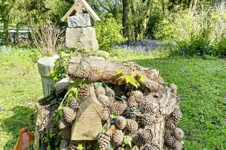Résidence Bg32 - Mer & Bois De Cise.. Maison Individuelle Avec Grand Jardin, Appartement à Ault avec jardin et accès à la plage - Photo 34