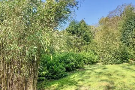 Résidence Bg32 - Mer & Bois De Cise.. Maison Individuelle Avec Grand Jardin, Appartement à Ault avec jardin et accès à la plage - Photo 38
