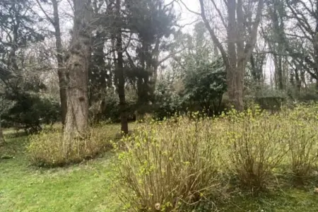 Résidence Bg32 - Mer & Bois De Cise.. Maison Individuelle Avec Grand Jardin, Appartement à Ault avec jardin et accès à la plage - Photo 39