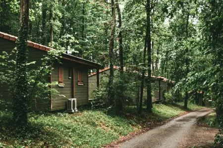 Terres de France -  Hameaux des Lacs, Chalet dans le Tarn avec lacs et piscines - Photo 1