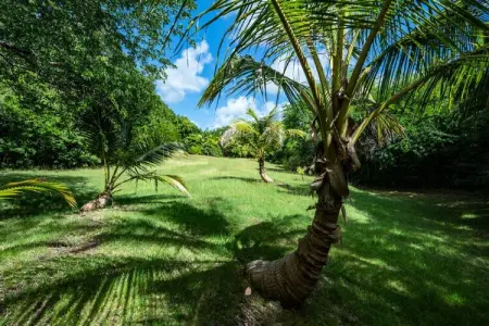 Villa Bwacajou, Villa à Grand-Bourg avec piscine vue mer - Photo 8