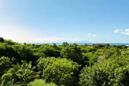 Villa Bwacajou, Villa à Grand-Bourg avec piscine vue mer - Photo 37