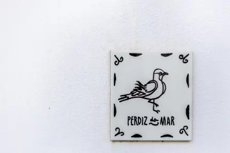 Perdiz Do Mar - Culatra, Appartement à Olhão près de l'île de Culatra - Photo 19