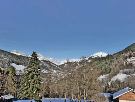 Agréable 2 pièces + coin nuit, 5 pers, St Jean de Sixt - Photo 18