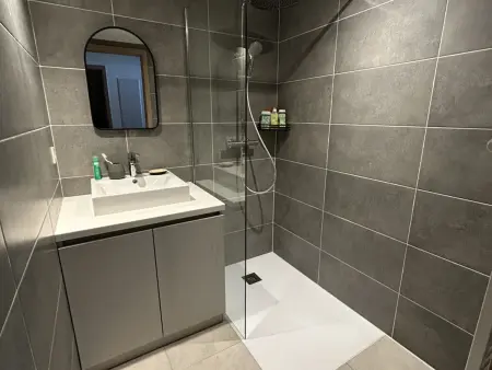 Appartement de standing 2 chambres, Wi-Fi, animaux admis, parking - Photo 3