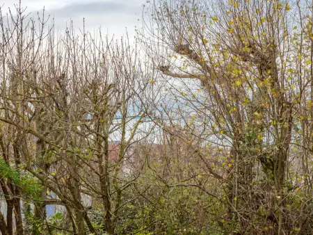 Le Parc de La Jacotte, Appartement 3 personnes à Deauville Trouville - Photo 19
