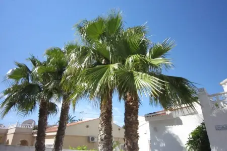 Casa Fien, Villa Rojales avec jacuzzi - Photo 35