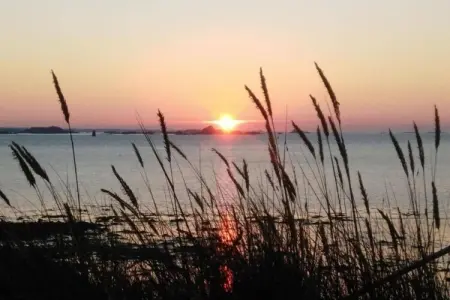 Résidence Domaine des Roches Jaunes 3, Appartement à Plougasnou avec vue sur mer - Photo 31