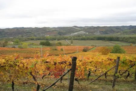 Castagnola, Maison d'Hôtes à Monferrato avec Dégustation - Photo 18