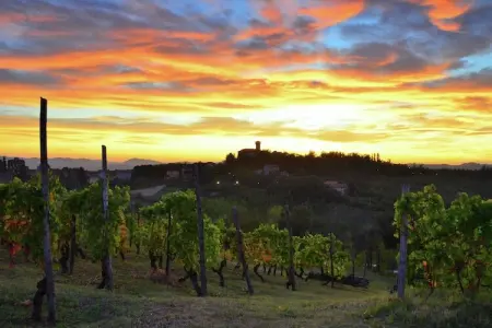 Castagnola, Maison d'Hôtes à Monferrato avec Dégustation - Photo 19