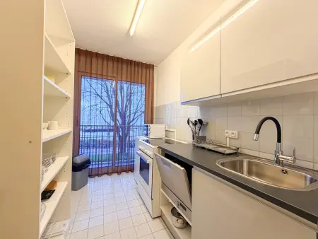 Bel appartement avec animaux admis à Évian, Appartement 4 personnes à Évian les Bains - Photo 2