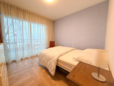 Bel appartement avec animaux admis à Évian, Appartement 4 personnes à Évian les Bains - Photo 6