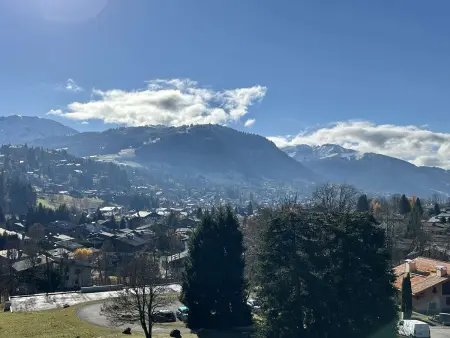 Studio calme avec parking, vue montagnes, Demi-Quartier - Photo 12