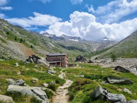 Faderhorn 8, Appartement 5 personnes à Saas Almagell - Photo 4