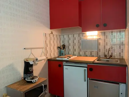 Studio lumineux 4 pers, balcon, proche pistes Pra-Loup 1600 - Photo 3