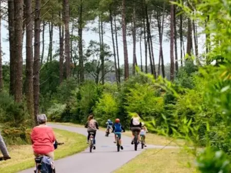 Studio cabine proche golf et océan avec wifi et parking sécurisé - Photo 9
