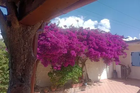 230284, Résidence de vacances La Maison du Monde - Photo 13