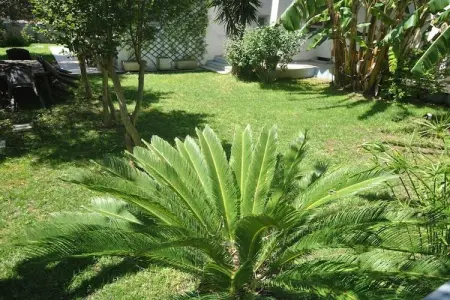 124055, Appartement de vacances avec 3 chambres - Photo 3
