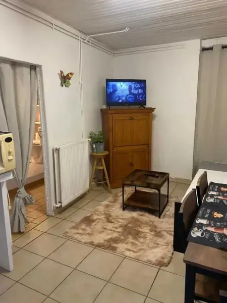 Appartement confortable à Aigues-Mortes – 30 m² - Photo 4