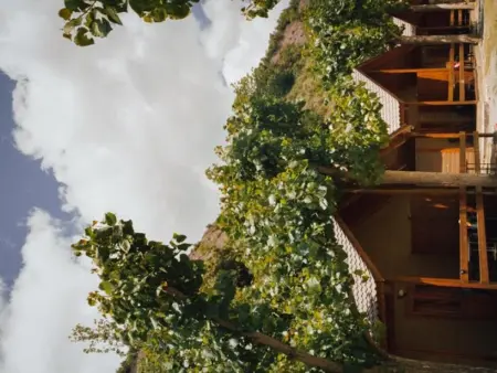 Bungalows en bois avec accès piscine, environnement naturel - Montardit de Baix - Photo 16