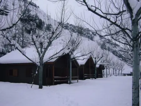 Bungalows en bois avec accès piscine, environnement naturel - Montardit de Baix - Photo 19